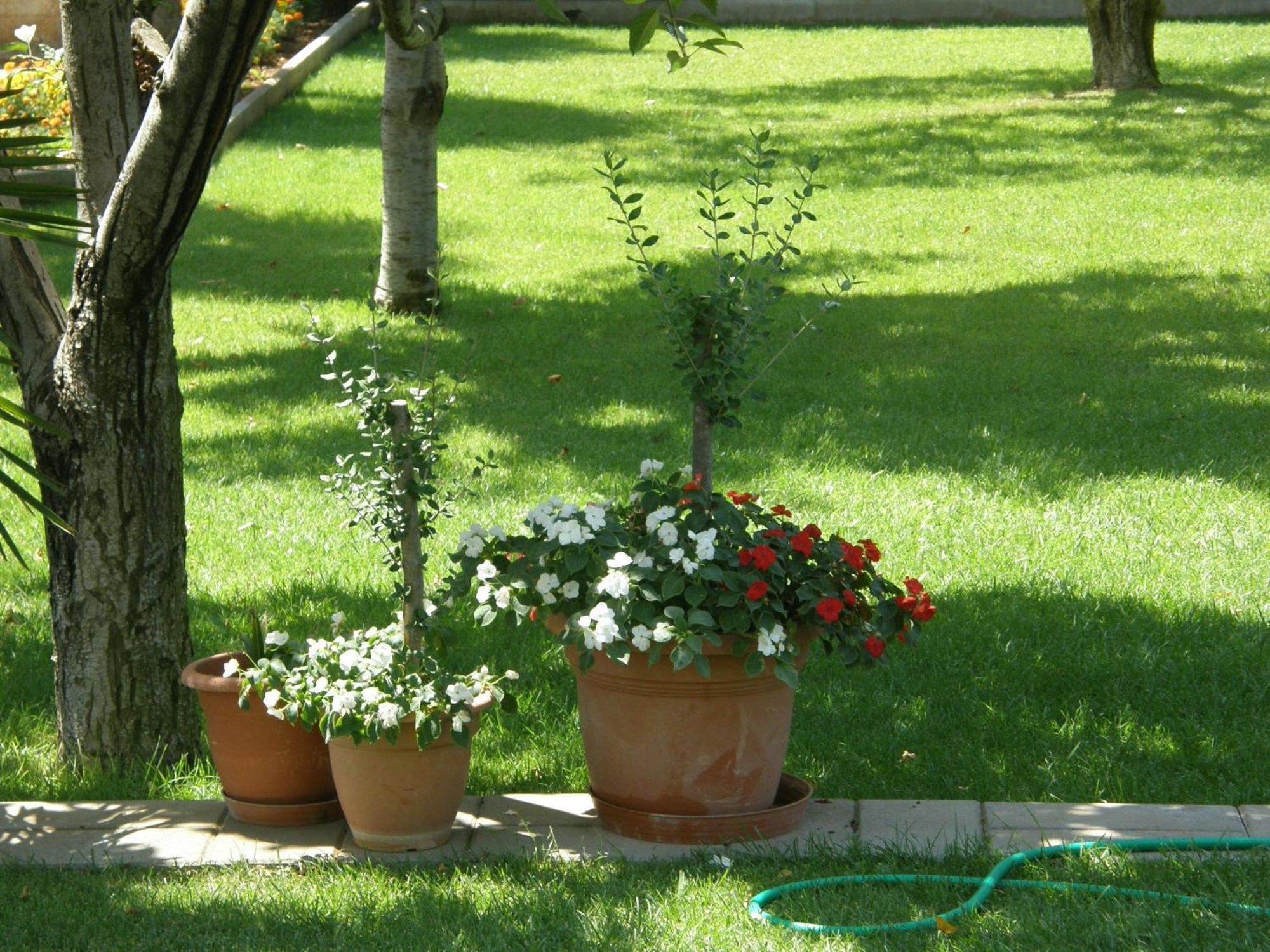 Villa Slavica 1 Vodice Zewnętrze zdjęcie