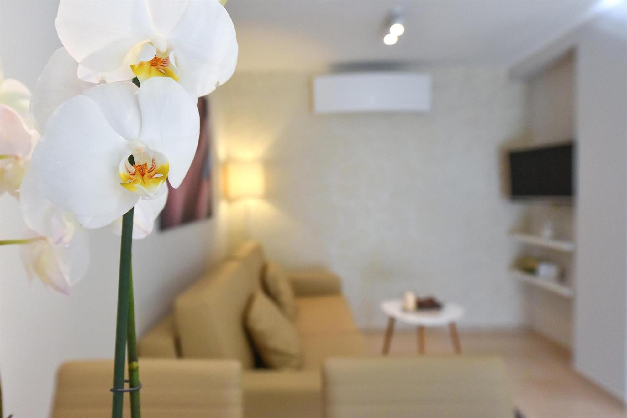 Villa Slavica 1 Vodice Pokój zdjęcie