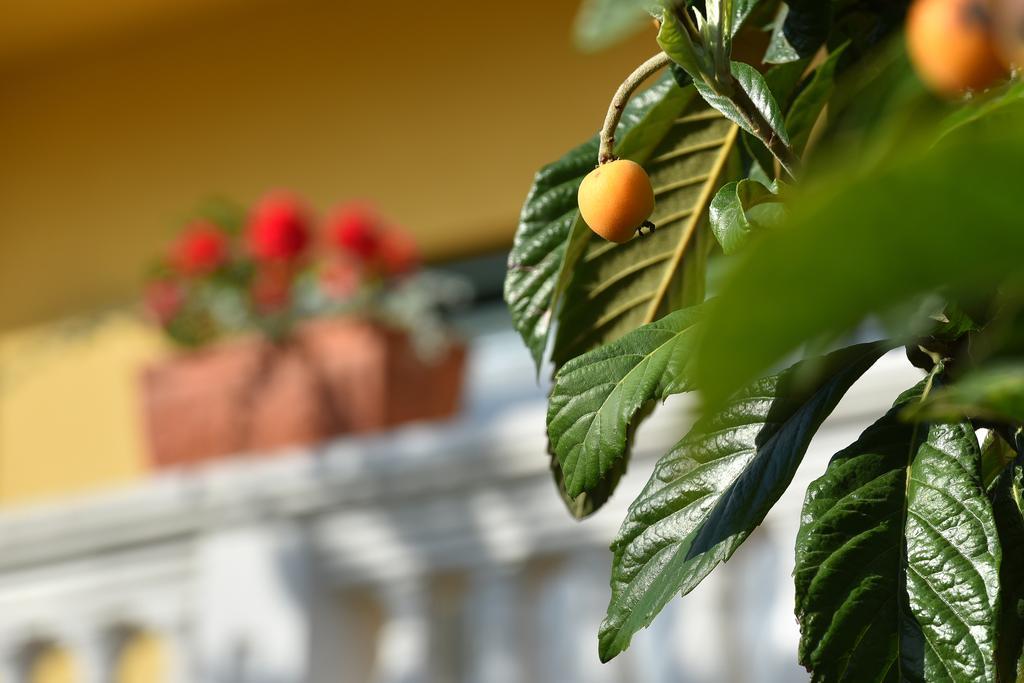 Villa Slavica 1 Vodice Zewnętrze zdjęcie
